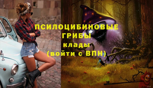 кокаин Алексеевка