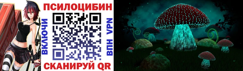 маркетплейс какой сайт  kraken сайт  Щёлково  Псилоцибиновые грибы MAGIC MUSHROOMS 
